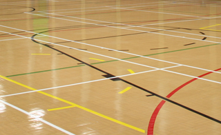 Sports Hall Availability for Single or Block Bookings